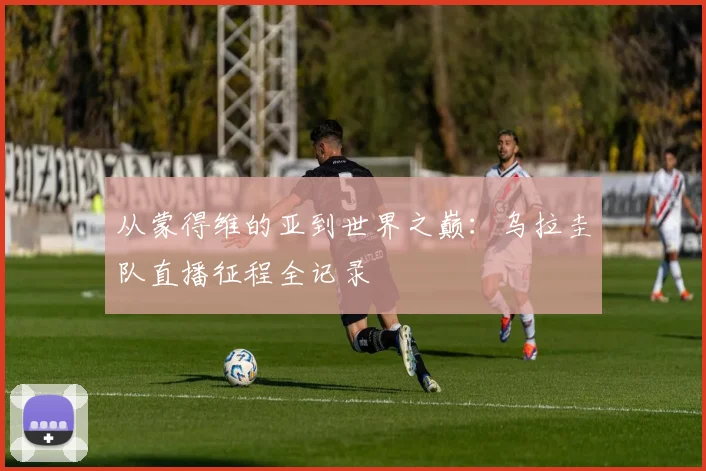 从蒙得维的亚到世界之巅:乌拉圭队直播征程全记录