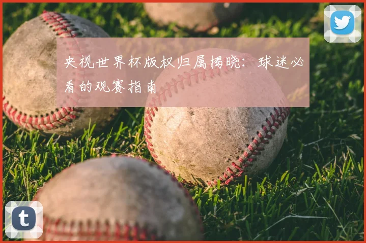 央视世界杯版权归属揭晓：球迷必看的观赛指南