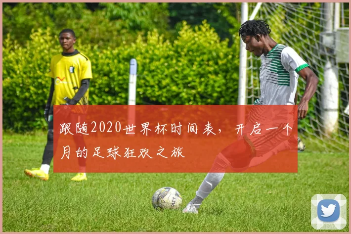 跟随2020世界杯时间表，开启一个月的足球狂欢之旅