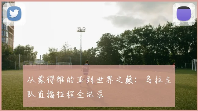 从蒙得维的亚到世界之巅:乌拉圭队直播征程全记录