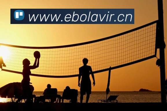 mk官网登录入口APP 高清赛事图